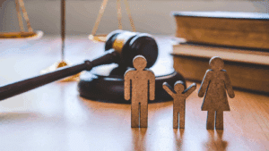 spouses and de facto partners of critical skills employment permit holders