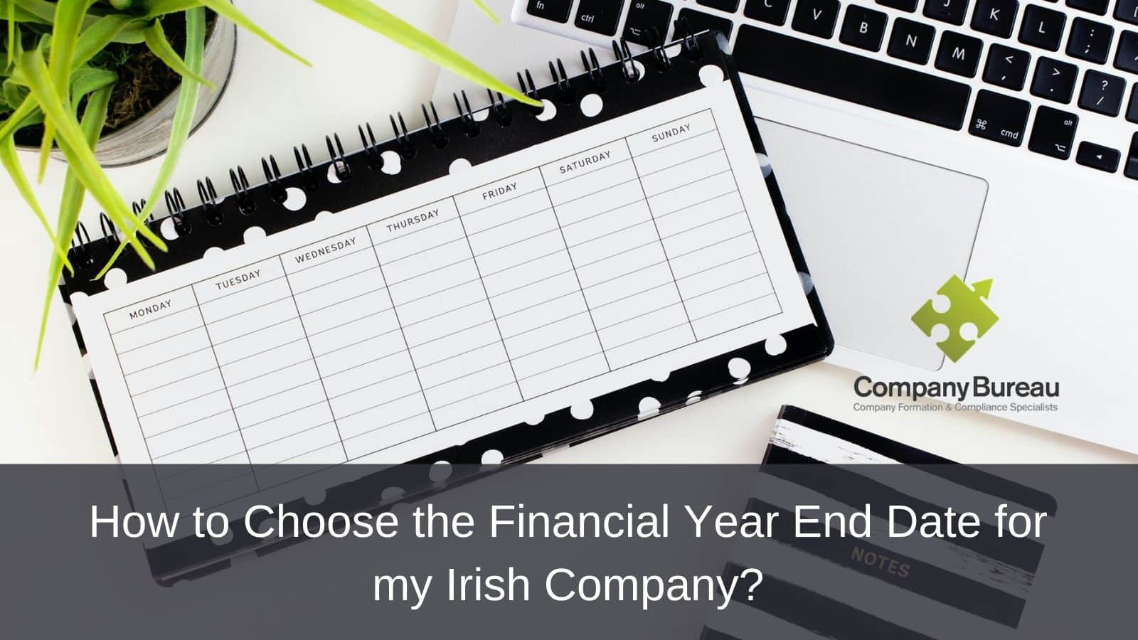 Irish Company Financial Year End Date Choose a Financial year end date