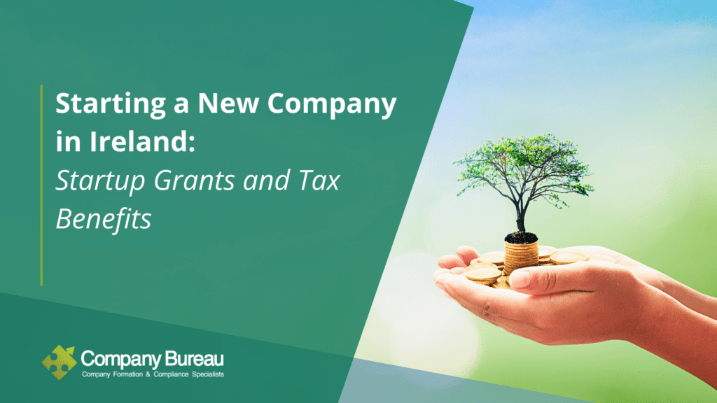 Startup Grants and Tax Benefits for SMEs