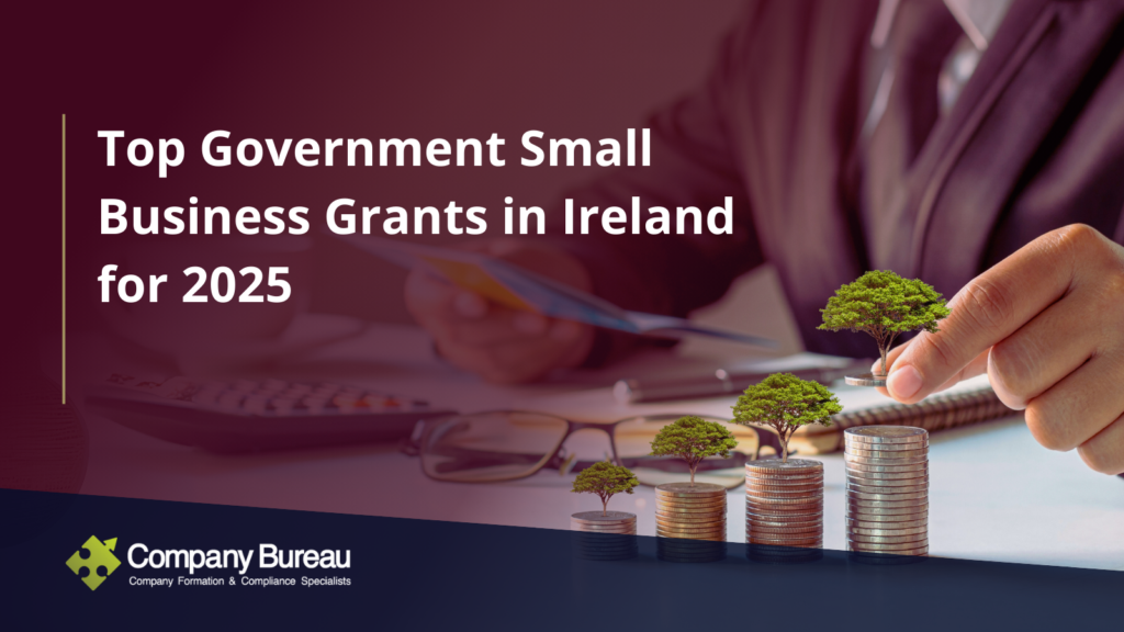 Top Government Small Business Grants in Ireland for 2025