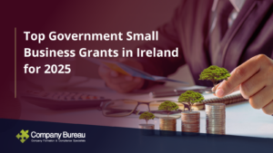 Top Government Small Business Grants in Ireland for 2025
